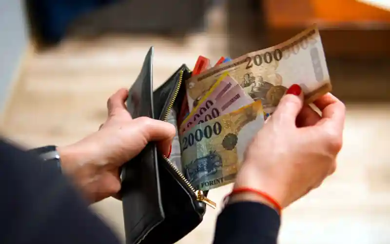 Fizetés, pénztárca, forint